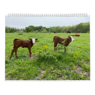 Cute Calves Calendar
