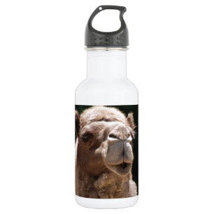 Cute Camel 532 Ml Water Bottle