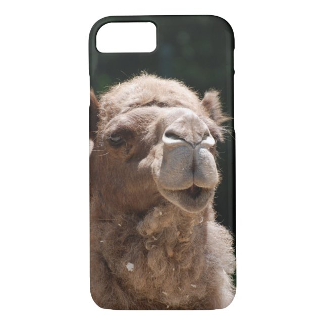 Cute Camel Case-Mate iPhone Case (Back)