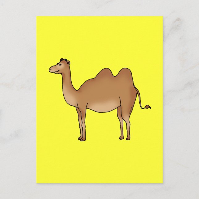 Cute camel postcard (Front)