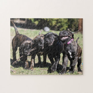 Cute Cane Corso Puppy Jigsaw Puzzle