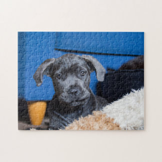Cute Cane Corso Puppy Jigsaw Puzzle