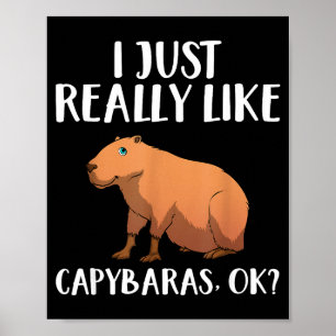 Cute Capybara Art For Men Women Kids Animal Rodent Poster