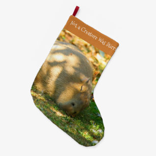 Cute Capybara Dreams in the Summer Sun Large Christmas Stocking