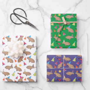 Cute Capybara Hand-Illustrated Whimsical Birthday Wrapping Paper Sheet
