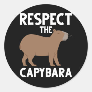 Cute Capybara Lover Animal Awareness Classic Round Sticker