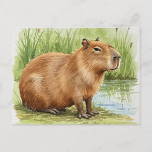 Cute Capybara Postcard