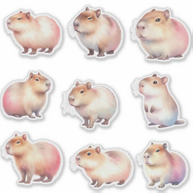 Cute Capybara sticker pack (Front)