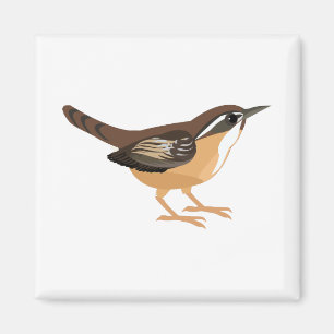 Cute Carolina Wren Magnet