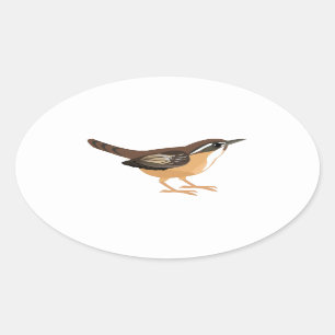 Cute Carolina Wren Oval Sticker