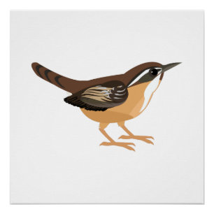 Cute Carolina Wren Poster