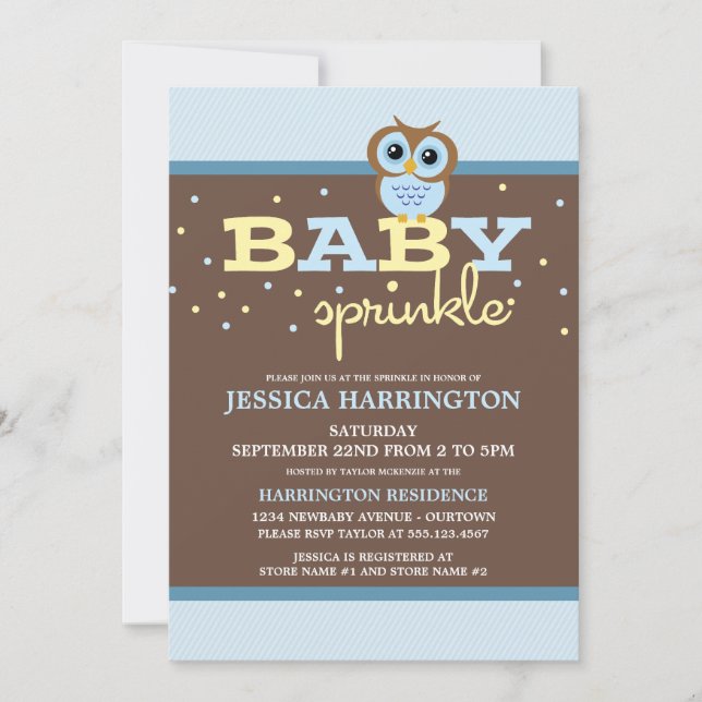 Cute Cartoon Blue Owl Baby Sprinkle Invitations (Front)