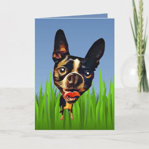Cute Cartoon Boston Terrier Greeting Card