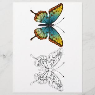 Cute Cartoon butterfly colouring page