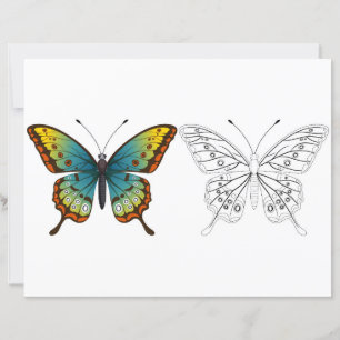 Cute Cartoon butterfly colouring page