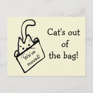 Cute Cartoon Cat Drawing Moving Announcement