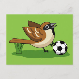 Cute Cartoon Sparrow Playing Soccer Postcard