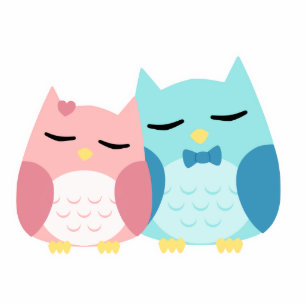 cute cartoon vector owl couple photo sculpture magnet