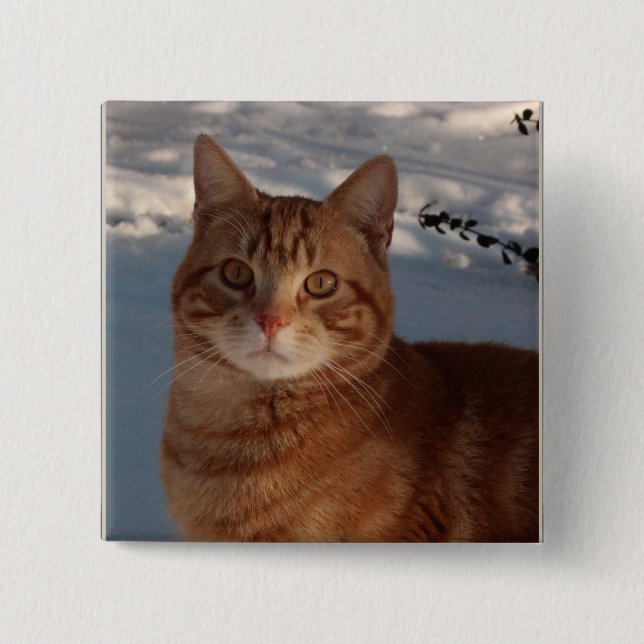 Cute Cat 15 Cm Square Badge (Front)
