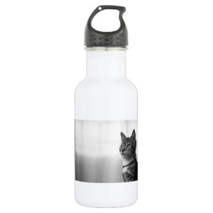 Cute Cat 532 Ml Water Bottle