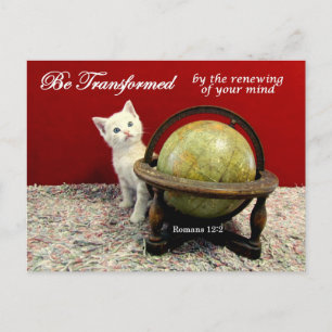Cute Cat and Romans 12:2 Bible Verse Postcard