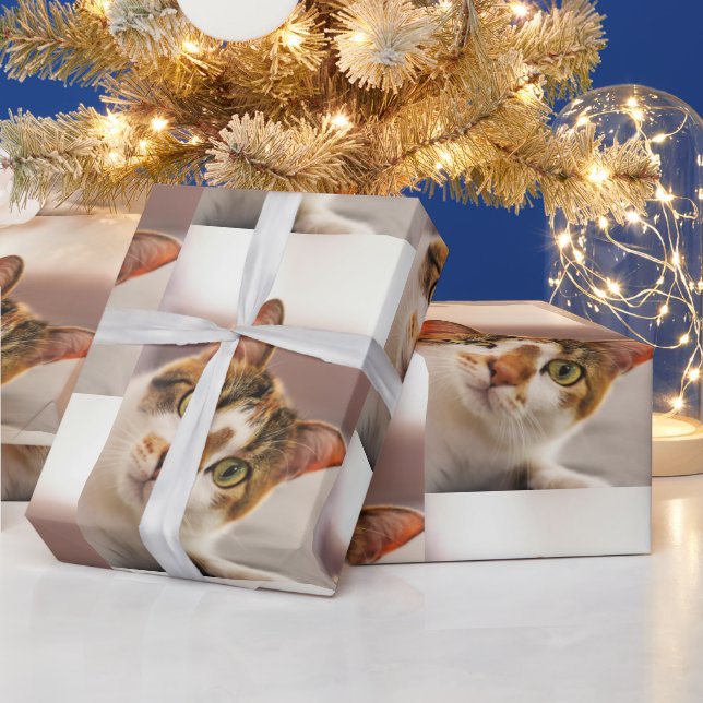 Cute Cat Animal Pet Looking Up at You Wrapping Paper (Holidays)