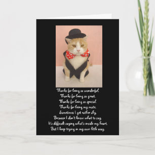 Cute Cat Anniversary Card