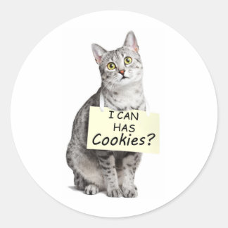 Cute Cat asks I can Has Cookies? Classic Round Sticker