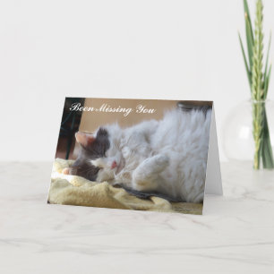 Cute Cat Been Missing You Greeting Card