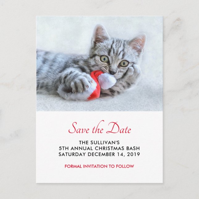 Cute Cat Biting Red Santa Hat Xmas Save the Date Postcard (Front)