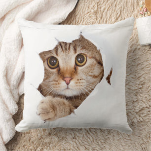 Cute Cat Blanket Design Cushion