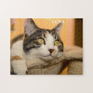 Cute Cat Calico  Jigsaw Puzzle