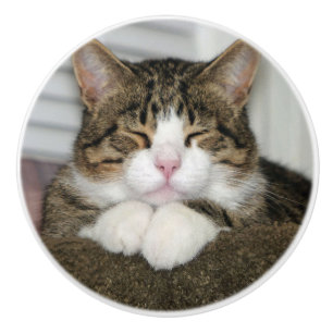Cute Cat Ceramic Knob