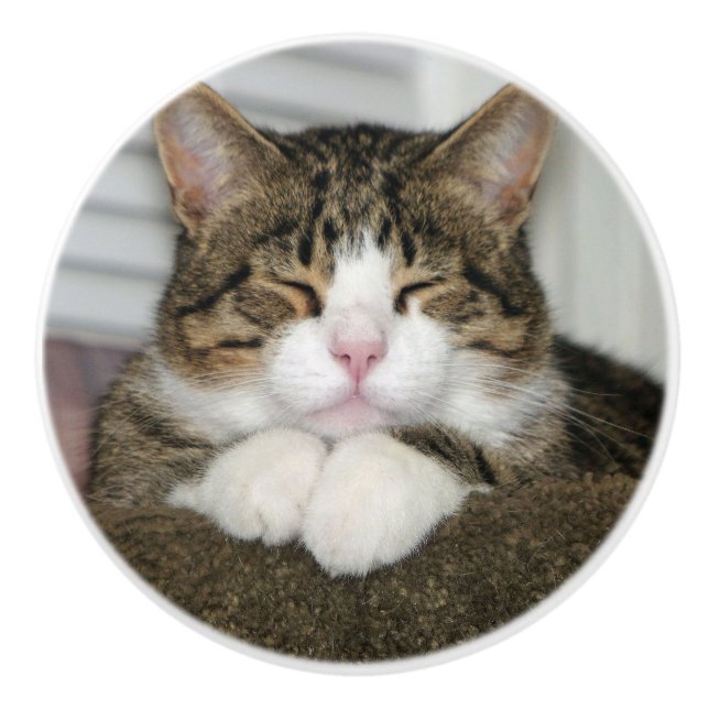Cute Cat Ceramic Knob (Front)