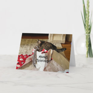 Cute  Cat Christmas, enjoying present custom cards