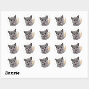 Cute cat  classic round sticker