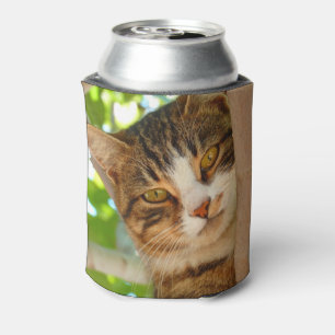 Cute Cat Climbing a Tree Can Cooler