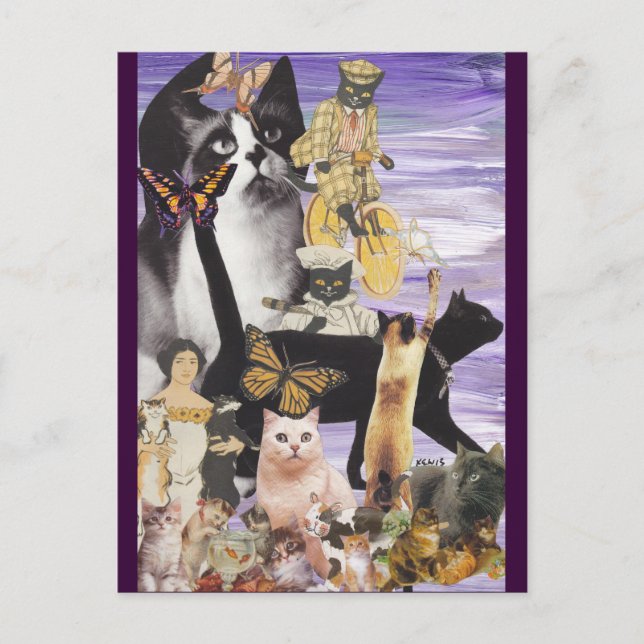 Cute Cat Collage 4 Postcard (Front)