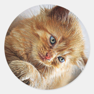 Cute Cat Collection  Classic Round Sticker
