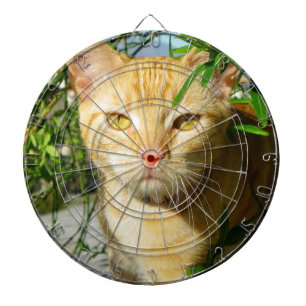 Cute Cat Dartboard! Dartboard