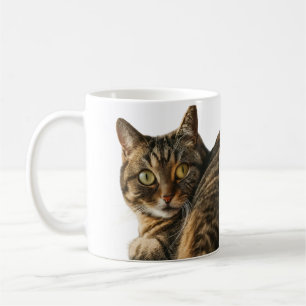 Cute Cat design Coffee Mug