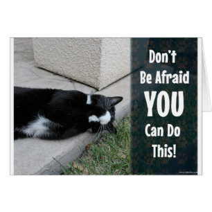 Cute Cat Do Not Be Afraid