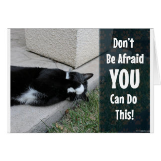 Cute Cat Do Not Be Afraid