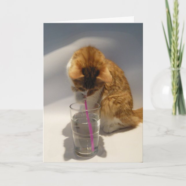 Cute Cat Drinking from Straw Happy Birthday Card (Front)