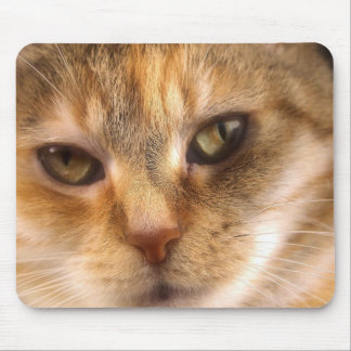 cute cat face 3 mouse mat