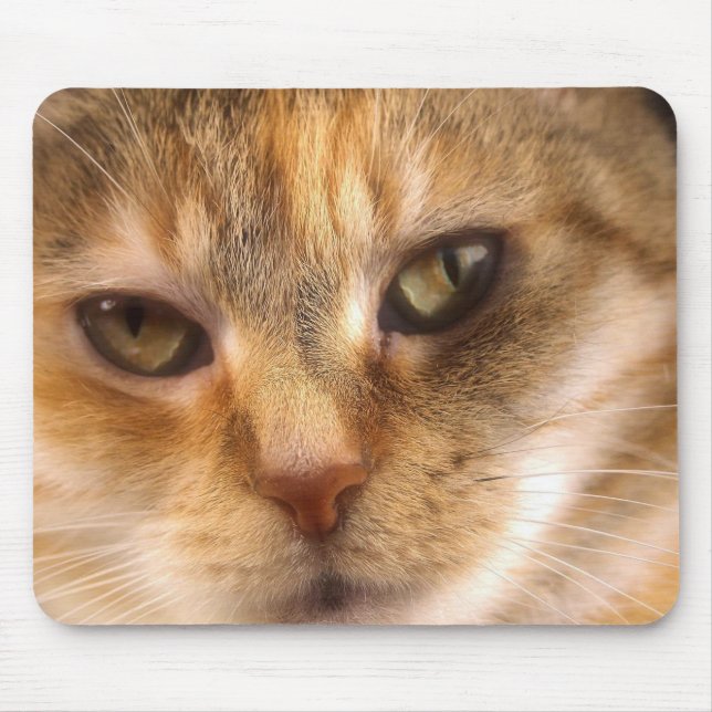 cute cat face 3 mouse mat (Front)