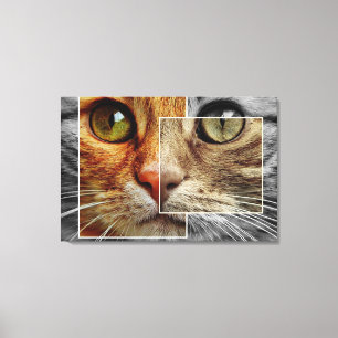 Cute Cat Face Collage Canvas Print