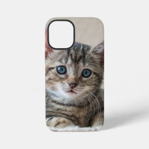 Cute Cat Face iPhone 12 Mini Case