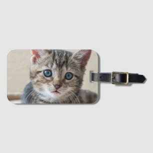 Cute Cat Face Luggage Tag