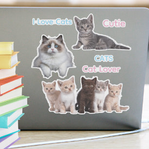 Cute cat fun and silly cat lover